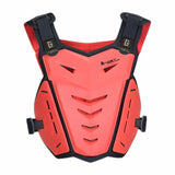 Armure protection Pare - pierre moto - LE PRATIQUE DU MOTARD