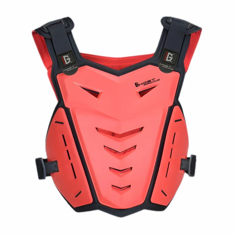Armure protection Pare - pierre moto - LE PRATIQUE DU MOTARD