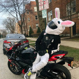 Couvre Casque Moto - Lapin Le Pratique du Motard